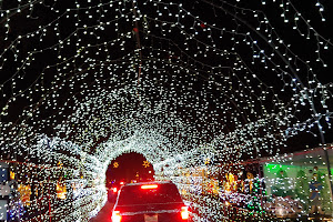 Land of Lights Christmas Park
