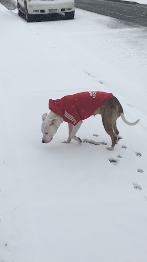 Pet Supply Store «Pet Supplies Plus», reviews and photos, 3120 NJ-35, Hazlet, NJ 07730, USA