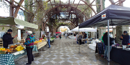 The Vineyard Farmer's Market