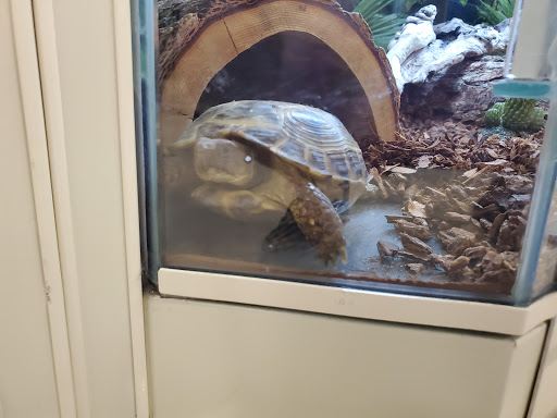 Pet Supply Store «PetSmart», reviews and photos, 11331 Causeway Blvd, Brandon, FL 33511, USA