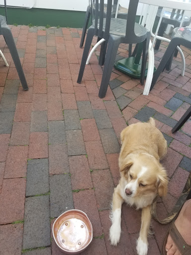 American Restaurant «Governor Bradford Restaurant», reviews and photos, 312 Commercial St, Provincetown, MA 02657, USA