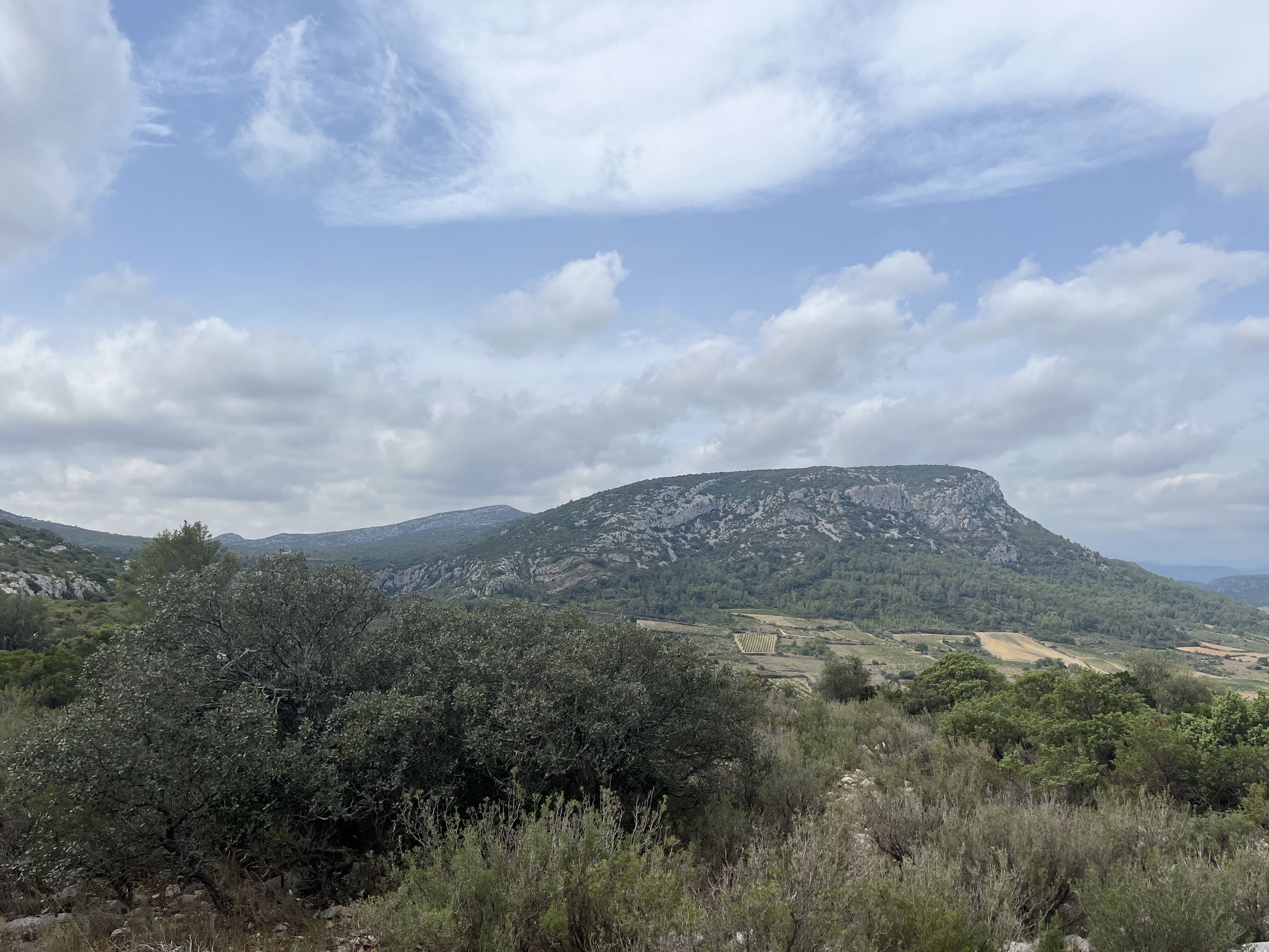 Photo n° 2 de l'avis de Emer.y fait le 16/08/2023 à 11:20