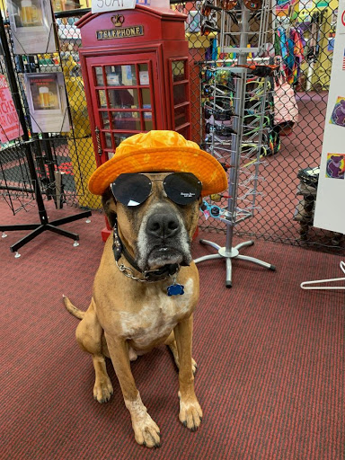 Tobacco Shop «Kosmic Korner Inc.», reviews and photos, 2688 NY-17M, Goshen, NY 10924, USA