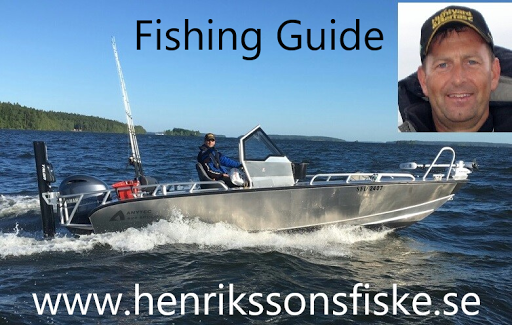 fiskeguide Henrikssons fiske - Fishing guide Lake Mälaren