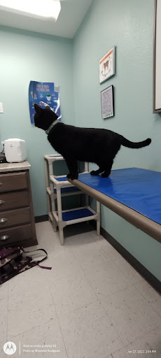 182 FM 3447, Uvalde, TX 78801, USA