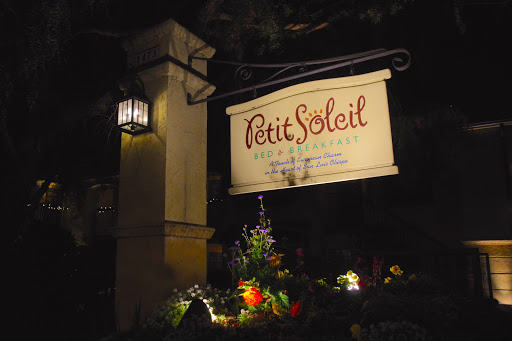 Petit Soleil image