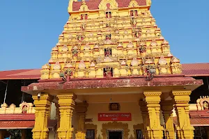 Bappanadu Sri Durga Parameshwari Temple image