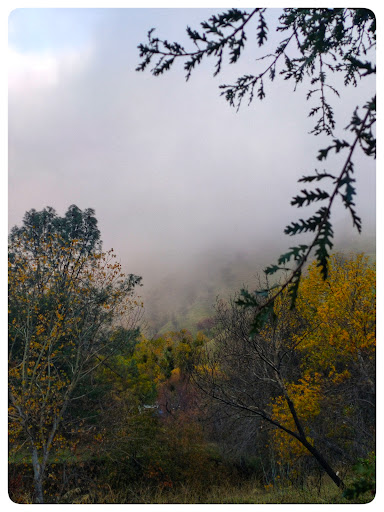 Nature Preserve «UC Davis - Stebbins Cold Canyon Natural Reserve», reviews and photos, CA-128, Winters, CA 95694, USA