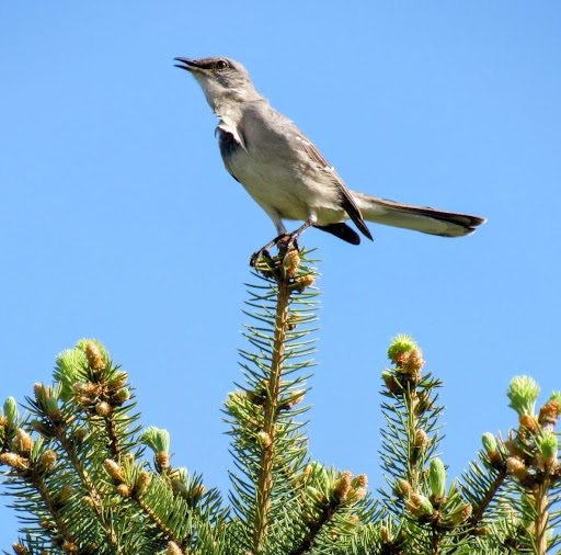 Nature Preserve «Creasey Mahan Nature Preserve», reviews and photos, 12501 Harmony Landing Rd, Goshen, KY 40026, USA