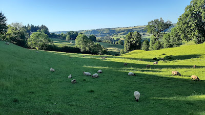 Aire de camping-car à Saint-Cernin