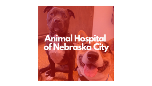 Animal Hospital of Nebraska City