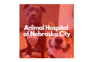 Animal Hospital of Nebraska City image