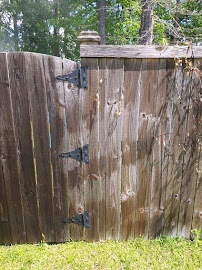 Miller And Polite Pressure Washing And Landscaping Services - Photo 4 - Car repair in , Charleston