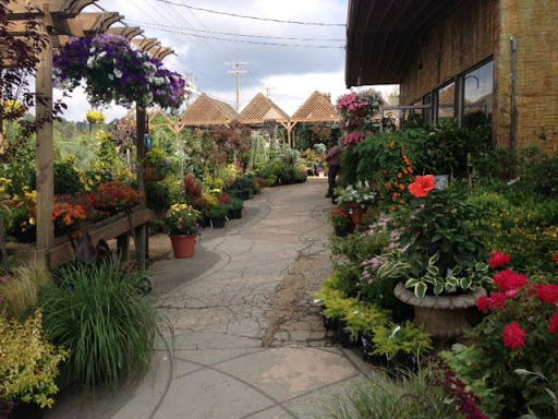 Plant Nursery «A Growing Concern Garden Center», reviews and photos, 1707 Spartanburg Hwy, Hendersonville, NC 28792, USA