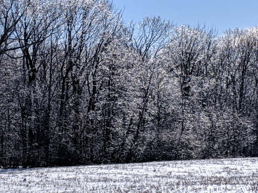 Nature Preserve «Sweet Arrow Reserve», reviews and photos, 789 Little Sugarcreek Rd, Sugarcreek Township, OH 45440, USA