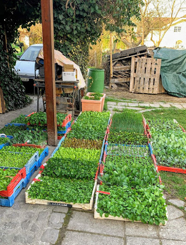 Jardin d'avenir "vente directe" - Bioladen