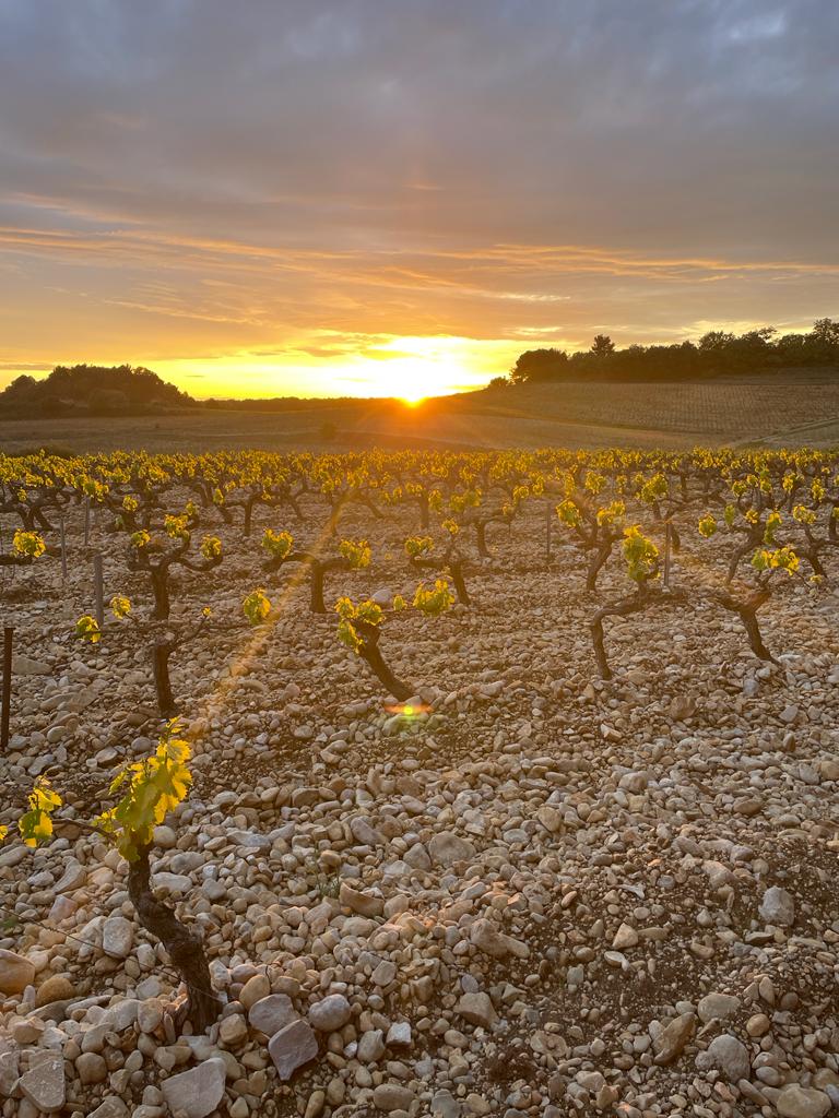 Photo n° 2 de l'avis de Lisa.a fait le 28/04/2023 à 16:57