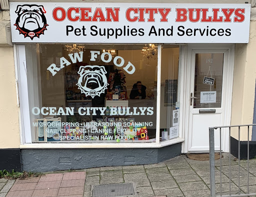 Ocean city bullys