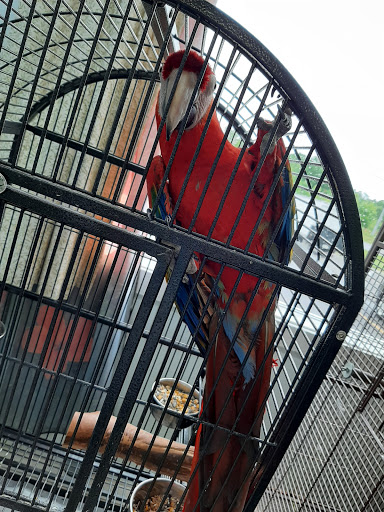 Pet Store «Adventure Birds of Bon Aqua», reviews and photos, 9600 TN-46, Bon Aqua, TN 37025, USA