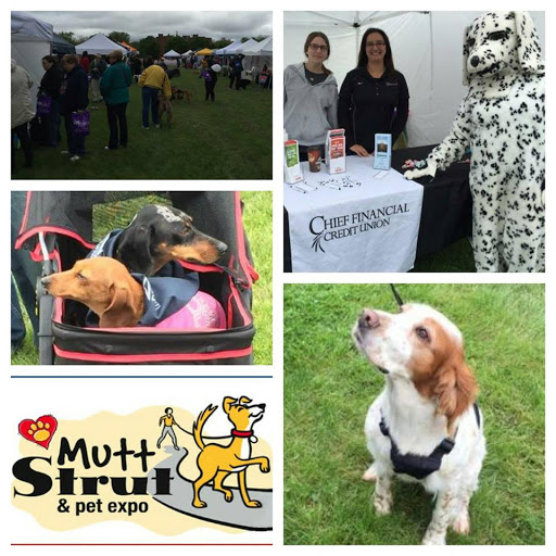 Credit Union «Chief Financial Credit Union», reviews and photos