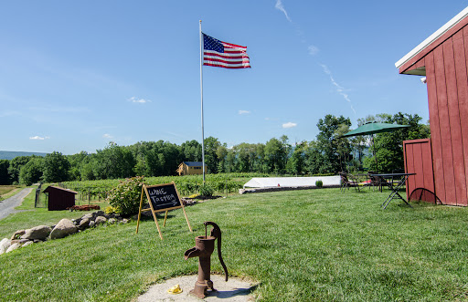 Winery «Christopher Jacobs Winery at Pennings Vineyards (Seasonally Open May-Oct)», reviews and photos, 320 Crawford St, Pine Bush, NY 12566, USA