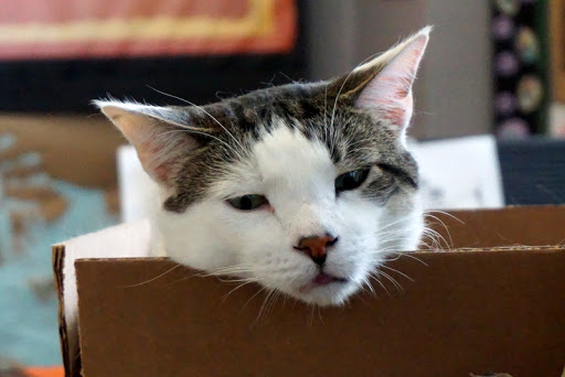 Used Book Store «Atlanta Vintage Books», reviews and photos, 3660 Clairmont Rd, Atlanta, GA 30341, USA