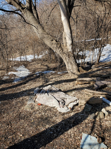 Nature Preserve «Bruce Vento Nature Sanctuary», reviews and photos, 4th St E, St Paul, MN 55106, USA