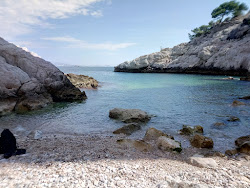 Plage de la Calanque du Jonquier'in fotoğrafı dağlarla çevrili