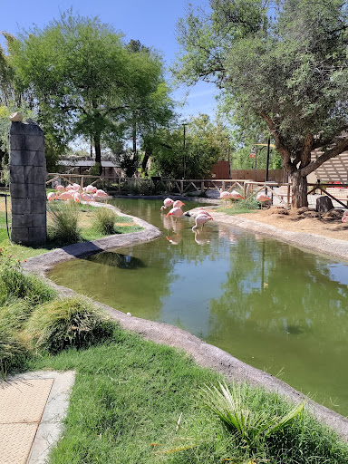 Zoo «Reid Park Zoo», reviews and photos, 3400 Zoo Court, Tucson, AZ 85716, USA