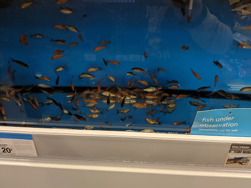 Pet Supply Store «Petco Animal Supplies», reviews and photos, 2752 Veterans Rd W, Staten Island, NY 10309, USA