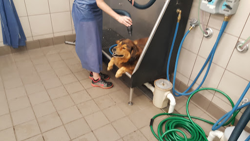 Pet Supply Store «Pet Supplies Plus», reviews and photos, 2180 Dixie Hwy, Fort Mitchell, KY 41017, USA