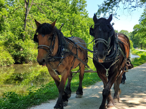 Tourist Attraction «St. Helena Heritage Park», reviews and photos, 123 Tuscarawas St NW, Canal Fulton, OH 44614, USA