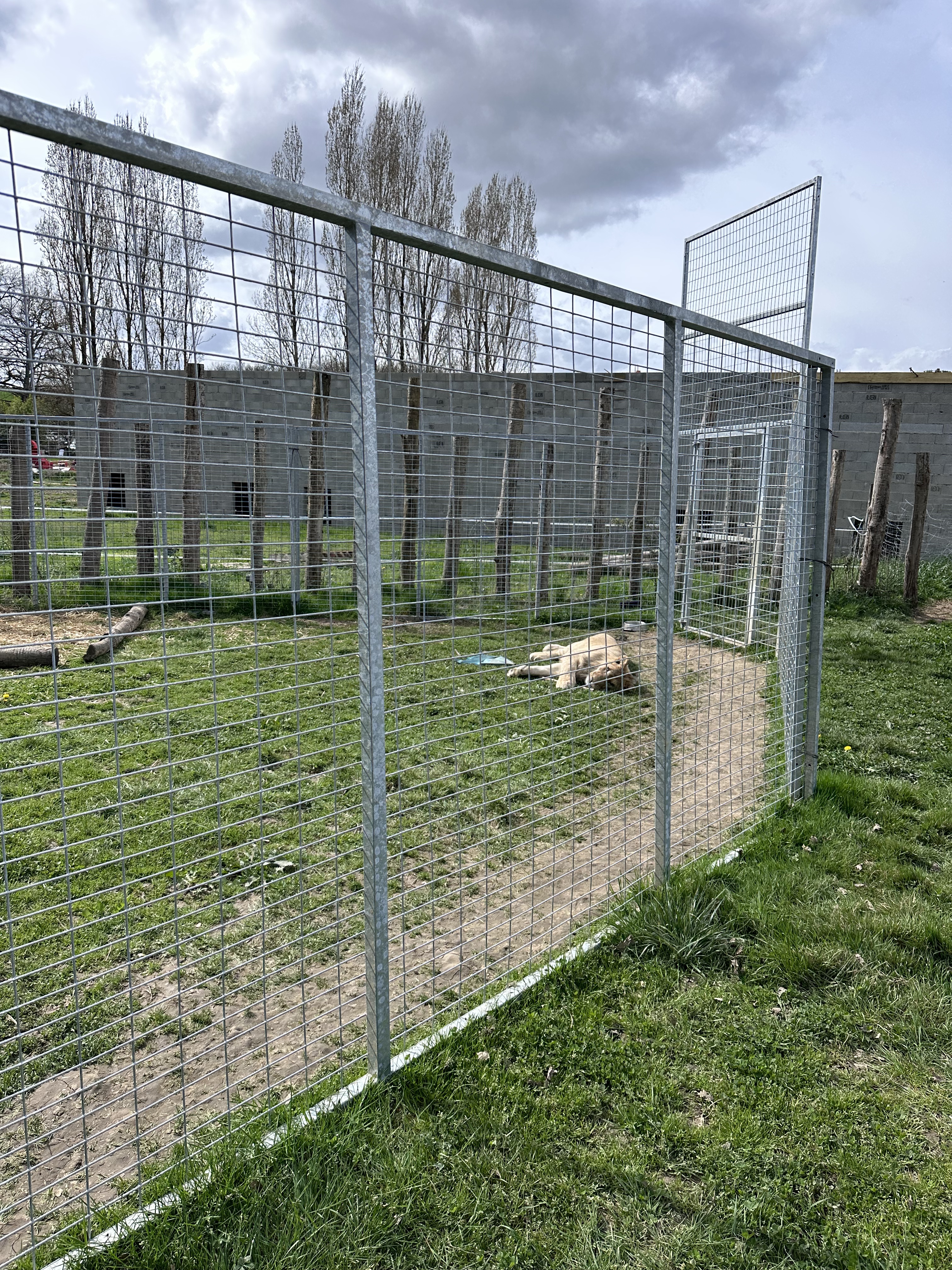 Photo n° 11 de l'avis de Victoria. fait le 25/03/2023 à 17:18