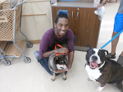 Pet Supply Store «Petco Animal Supplies», reviews and photos, 1065 Kennedy Rd, Windsor, CT 06095, USA