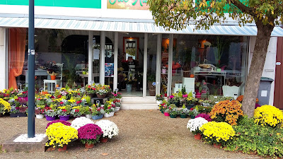Ode aux Fleurs à Arques