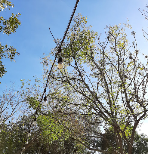 Winery «Helotes Creek Winery», reviews and photos, 14359 Old Bandera Rd #6, Helotes, TX 78023, USA