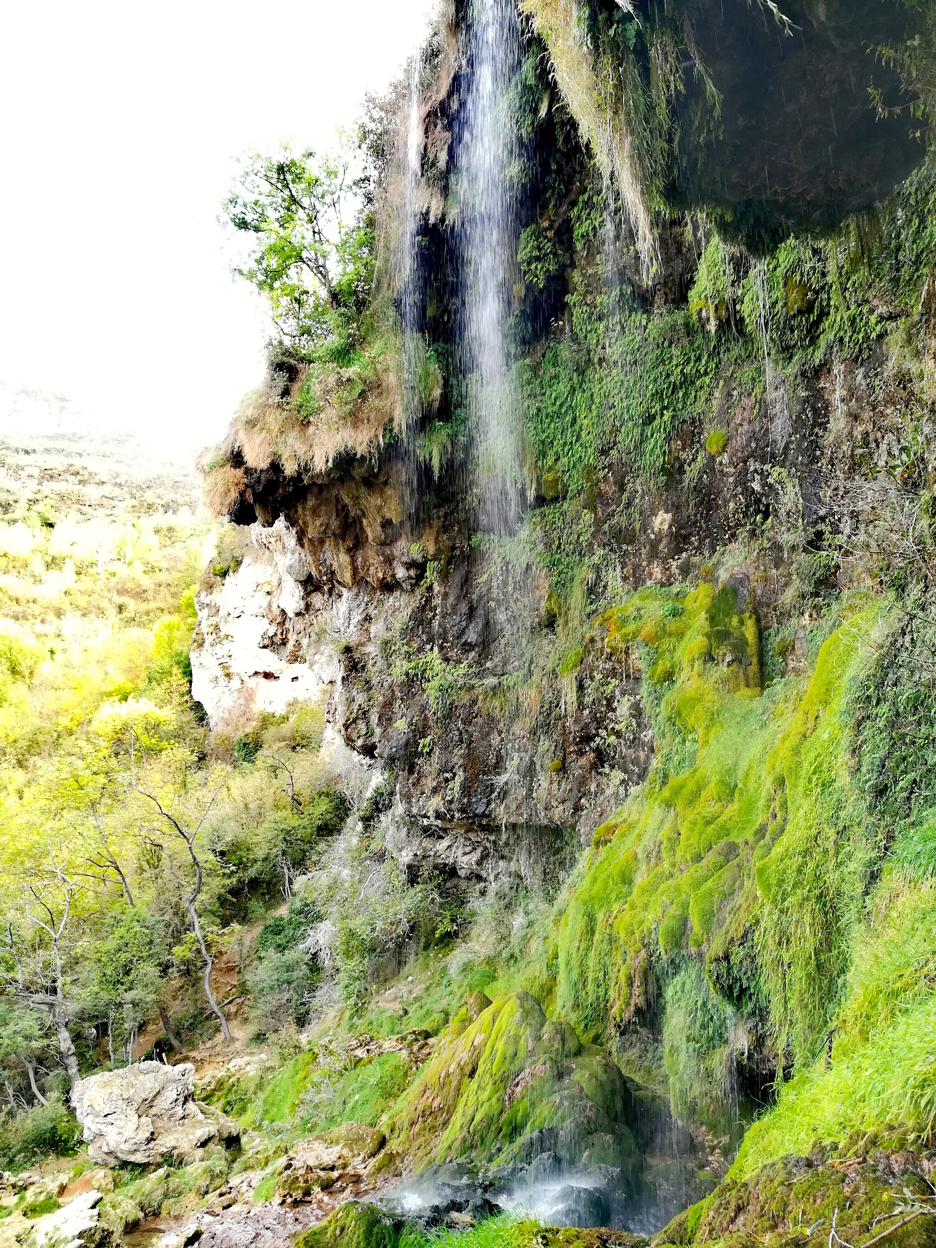 Photo n° 4 de l'avis de Carine.a fait le 29/10/2022 à 11:11