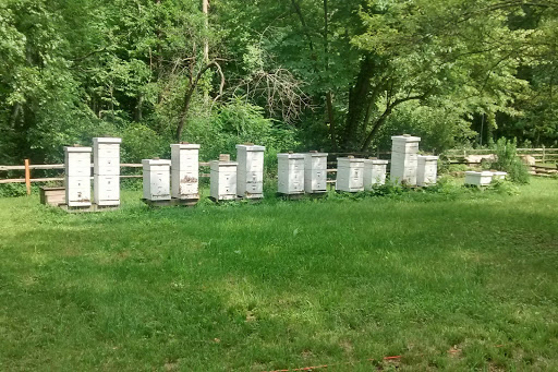 Nature Preserve «River Trail Nature Center», reviews and photos, 3120 Milwaukee Ave, Northbrook, IL 60062, USA