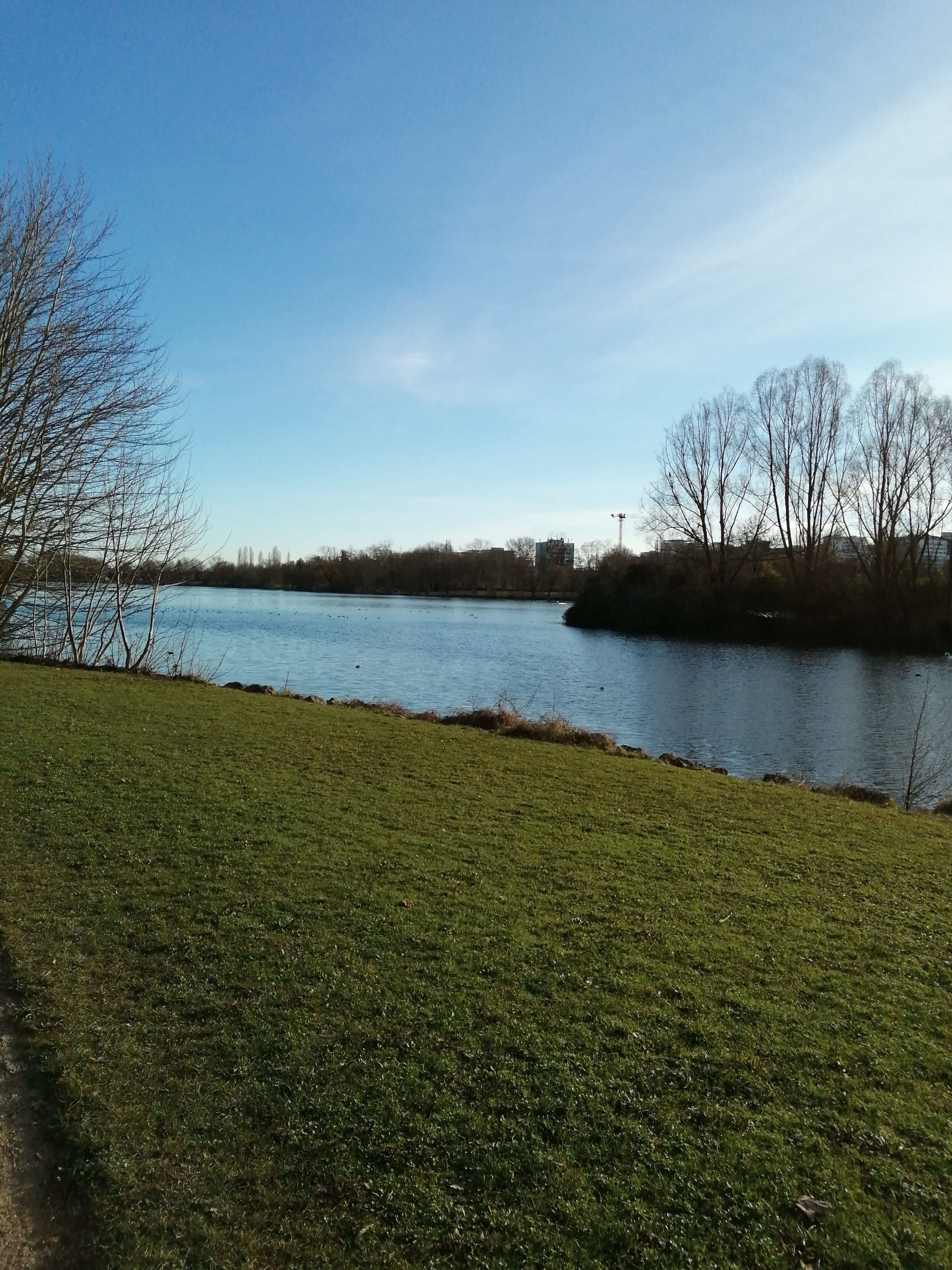 Photo n° 1 de l'avis de Sylvie.i fait le 30/01/2024 à 12:35