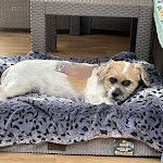 Photo n° 1 de l'avis de Nicolas.o fait le 11/09/2023 à 12:54 pour Centre Hospitalier Vétérinaire Pommery à Reims