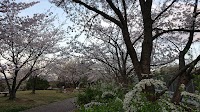 勅使ヶ池緑地