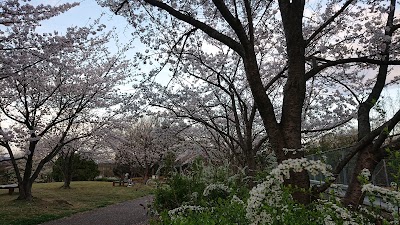 勅使ヶ池緑地