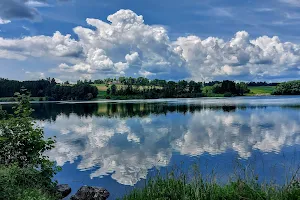 Dog beach on Untreusee image