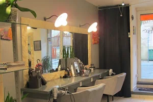 Md'Hair | Salon de coiffure mixte | Barbier | Maussane-les-Alpilles image