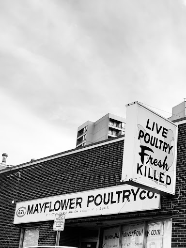 Shopping Mall «Twin City Plaza», reviews and photos, 14 McGrath Hwy, Somerville, MA 02143, USA