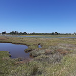 Photo n° 7 de l'avis de Marcelo.a fait le 14/08/2021 à 17:08 pour Maison de l’île de Kerner à Riantec