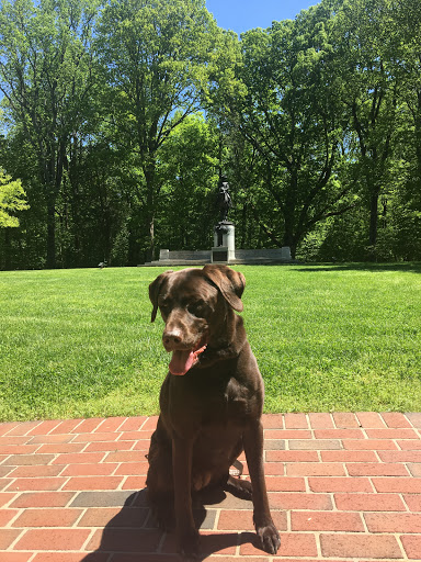 National Park «Guilford Courthouse National Military Park», reviews and photos, 2332 New Garden Rd, Greensboro, NC 27410, USA