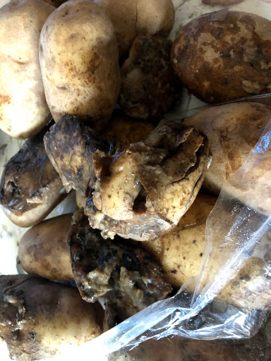 Grocery Store «Valentino Food Market», reviews and photos, 66-64 Fresh Pond Rd, Ridgewood, NY 11385, USA