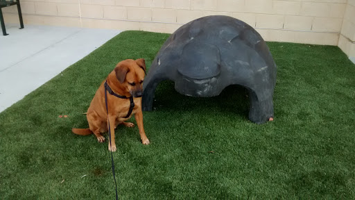 Community Center «Bowie Community Center», reviews and photos, 3209 Stonybrook Dr, Bowie, MD 20715, USA