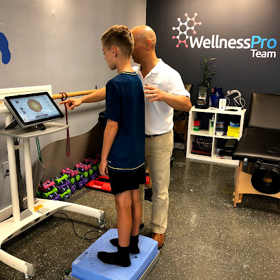 Wellness Pro Team - Chiropractor in Miami Florida